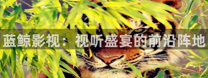 老电影樱桃：蓝鲸影视：视听盛宴的前沿阵地
