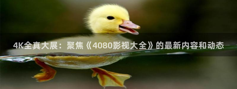 樱桃视频看黄片：4K全真大展：聚焦《4080影视大全》的最新内容和动态