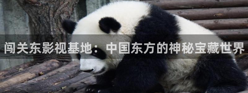 樱桃视频免费高清：闯关东影视基地：中国东方的神秘宝藏世界