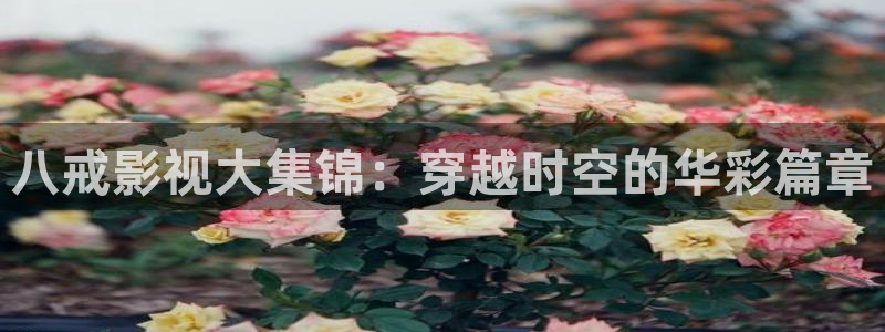 樱桃视频最新：八戒影视大集锦：穿越时空的华彩篇章