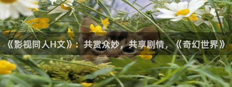 樱桃小视频入口：《影视同人H文》：共赏众妙，共享剧情，《奇幻世界》