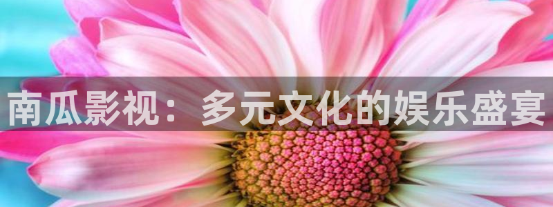 樱桃娱乐视频：南瓜影视：多元文化的娱乐盛宴