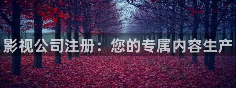 樱桃视频资源：影视公司注册：您的专属内容生产
