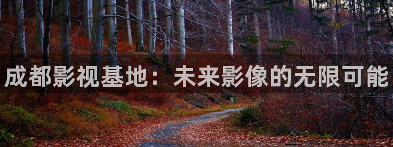 樱桃西芹复合片：成都影视基地：未来影像的无限可能