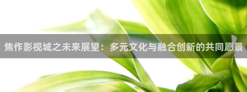樱桃视频网站.：焦作影视城之未来展望：多元文化与融合创新的共同愿景