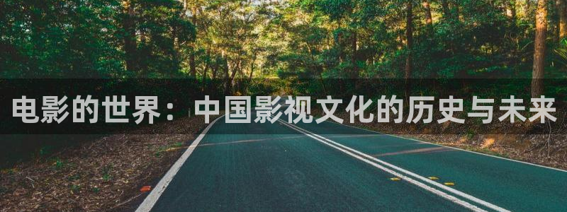 樱桃视频樱桃小丸子：电影的世界：中国影视文化的历史与未来