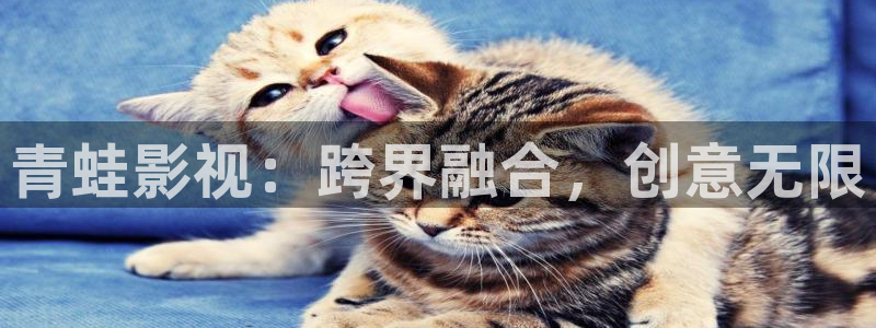 樱桃视频91：青蛙影视：跨界融合，创意无限