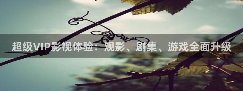 樱桃视频呜呜呜：超级VIP影视体验：观影、剧集、游戏全面升级
